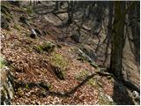 Kraljev hrib - Domžalski dom na Mali planini